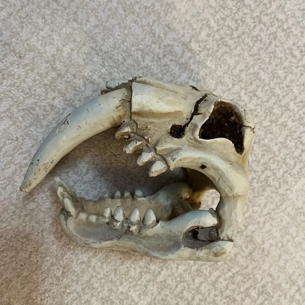 Reptile and aquarium items